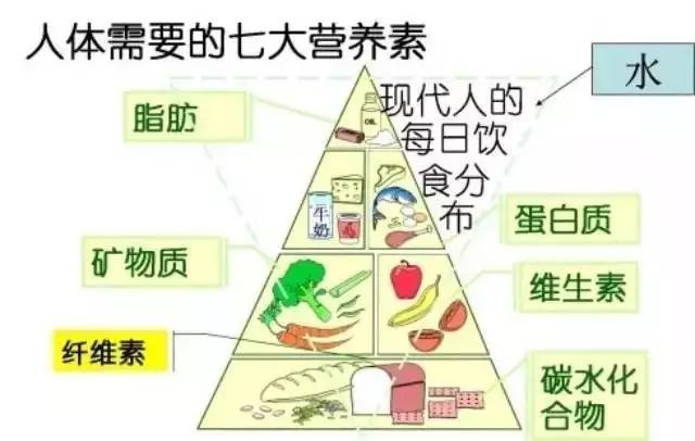 花费3万块找营养师咨询减肥，梳理出的精华内容都在这里！减肥必看！